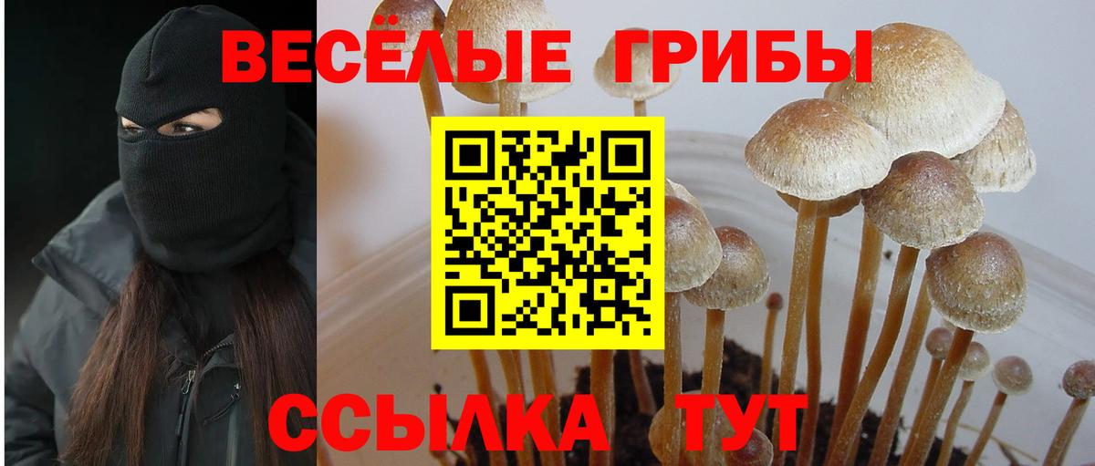 Галлюциногенные грибы GOLDEN TEACHER Димитровград